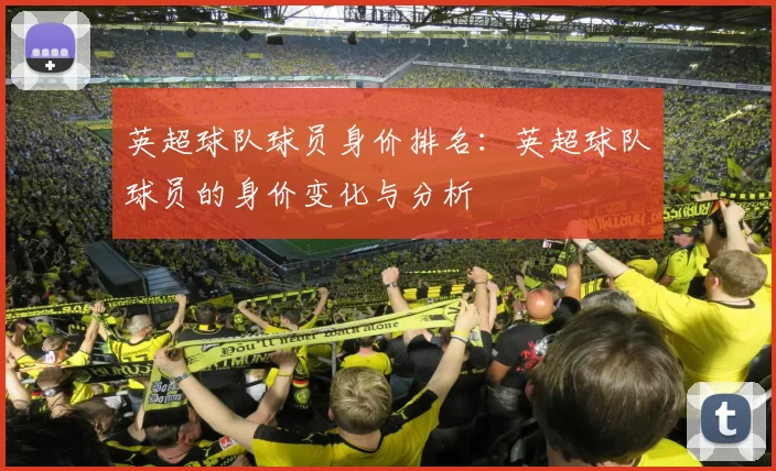 英超球队球员身价排名：英超球队球员的身价变化与分析