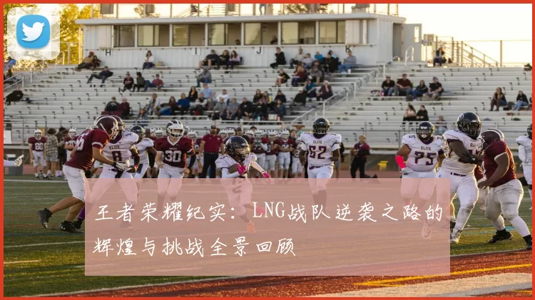 王者荣耀纪实：LNG战队逆袭之路的辉煌与挑战全景回顾