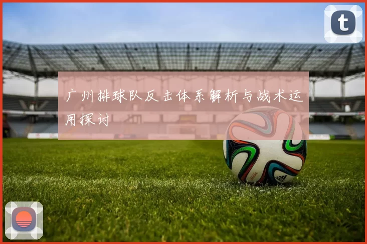 广州排球队反击体系解析与战术运用探讨