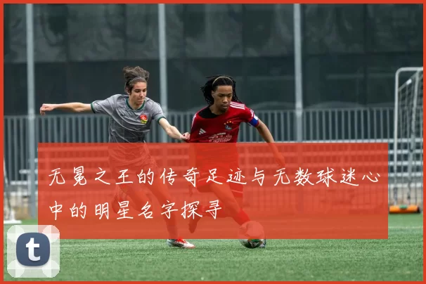 无冕之王的传奇足迹与无数球迷心中的明星名字探寻