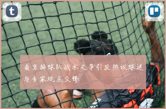 南京排球队战术之争引发热议球迷与专家观点交锋
