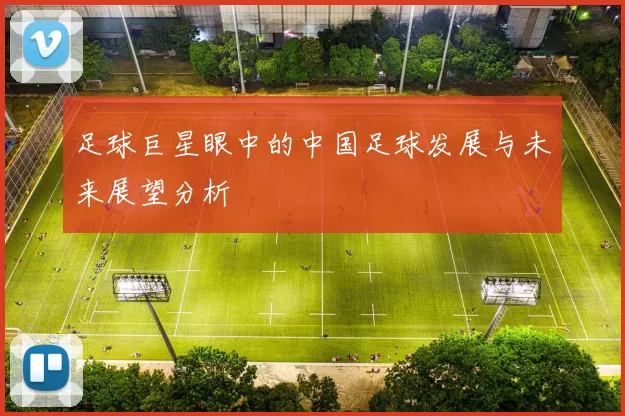 足球巨星眼中的中国足球发展与未来展望分析
