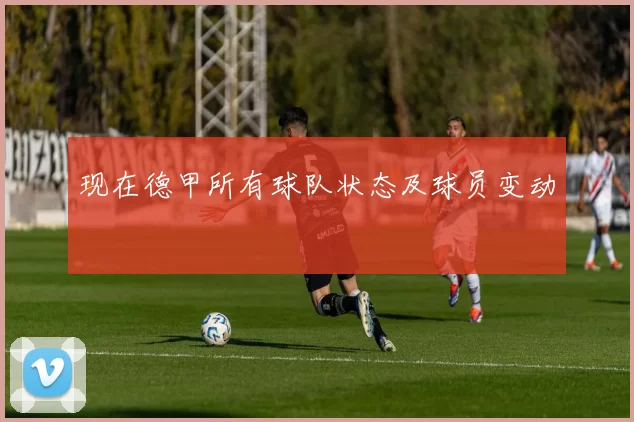 现在德甲所有球队状态及球员变动