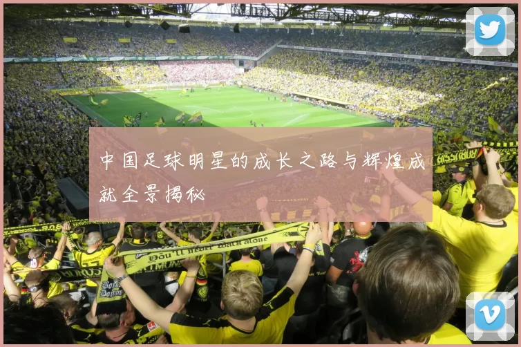中国足球明星的成长之路与辉煌成就全景揭秘