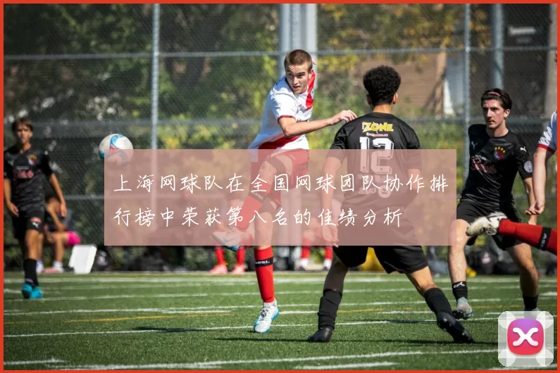 上海网球队在全国网球团队协作排行榜中荣获第八名的佳绩分析