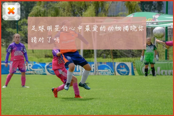 足球明星们心中最爱的动物揭晓你猜对了吗