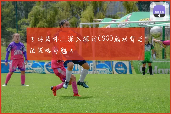 专访周伟：深入探讨CSGO成功背后的策略与魅力
