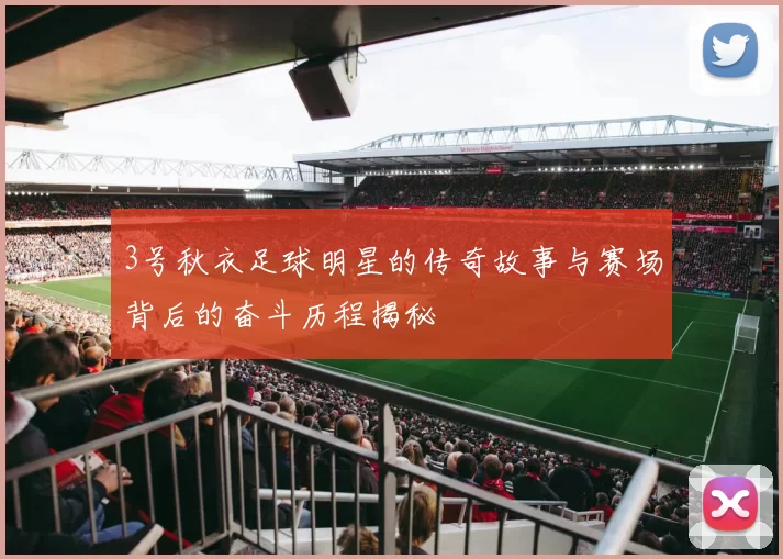 3号秋衣足球明星的传奇故事与赛场背后的奋斗历程揭秘