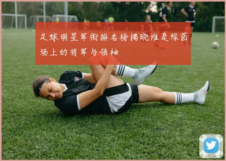 足球明星军衔排名榜揭晓谁是绿茵场上的将军与领袖