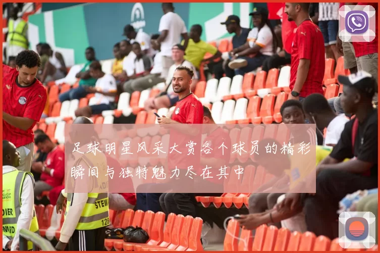 足球明星风采大赏各个球员的精彩瞬间与独特魅力尽在其中
