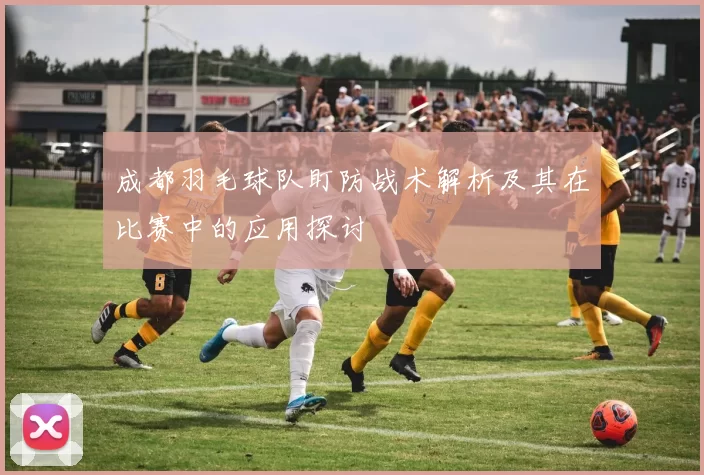 成都羽毛球队盯防战术解析及其在比赛中的应用探讨