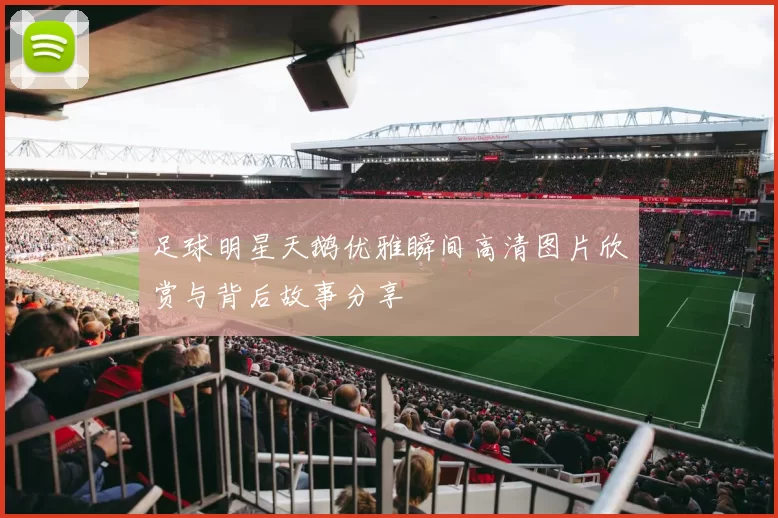 足球明星天鹅优雅瞬间高清图片欣赏与背后故事分享