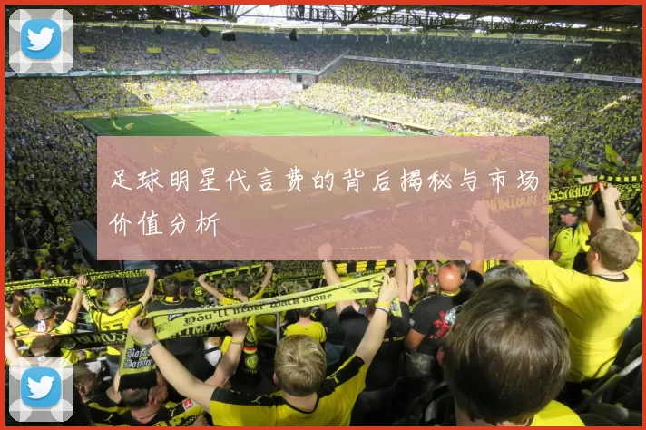 足球明星代言费的背后揭秘与市场价值分析