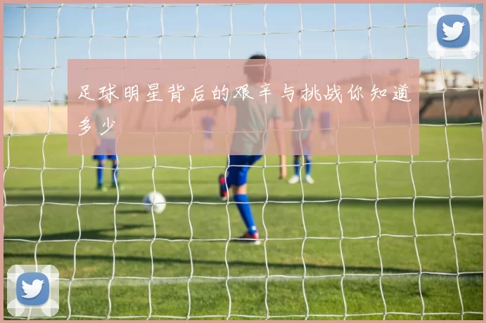 足球明星背后的艰辛与挑战你知道多少