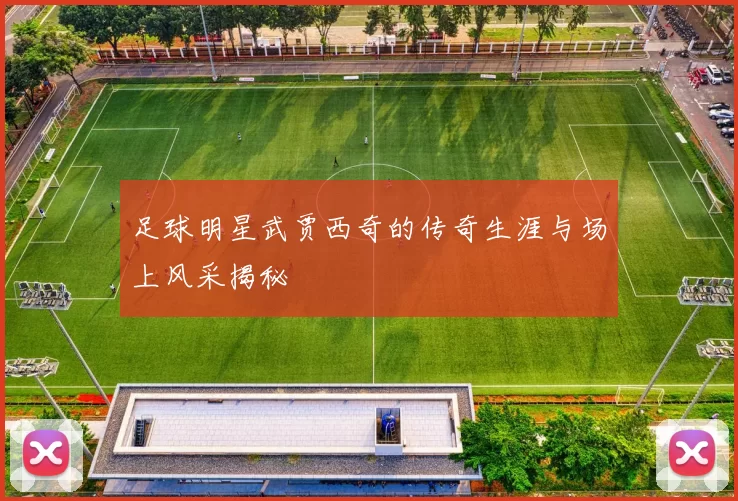 足球明星武贾西奇的传奇生涯与场上风采揭秘