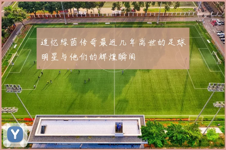 追忆绿茵传奇最近几年离世的足球明星与他们的辉煌瞬间