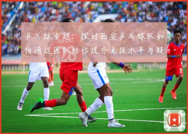 乒乓球专题：探讨西安乒乓球队如何通过团队协作提升竞技水平与凝聚力