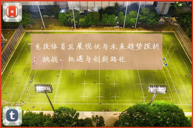 竞技体育发展现状与未来趋势探析：挑战、机遇与创新路径