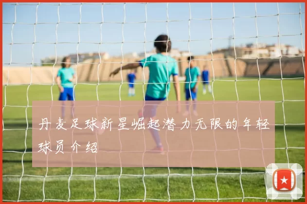丹麦足球新星崛起潜力无限的年轻球员介绍