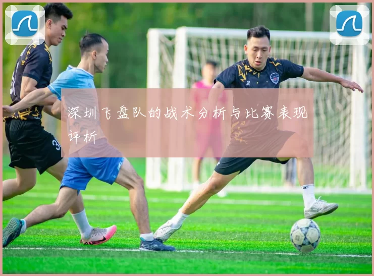 深圳飞盘队的战术分析与比赛表现评析