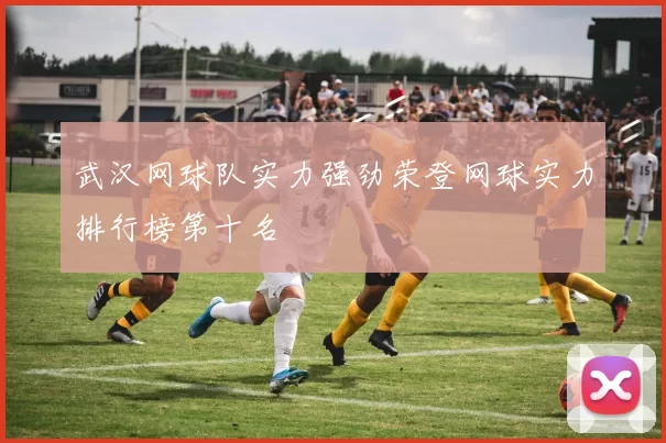 武汉网球队实力强劲荣登网球实力排行榜第十名