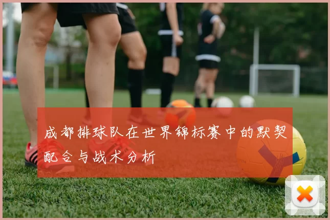 成都排球队在世界锦标赛中的默契配合与战术分析