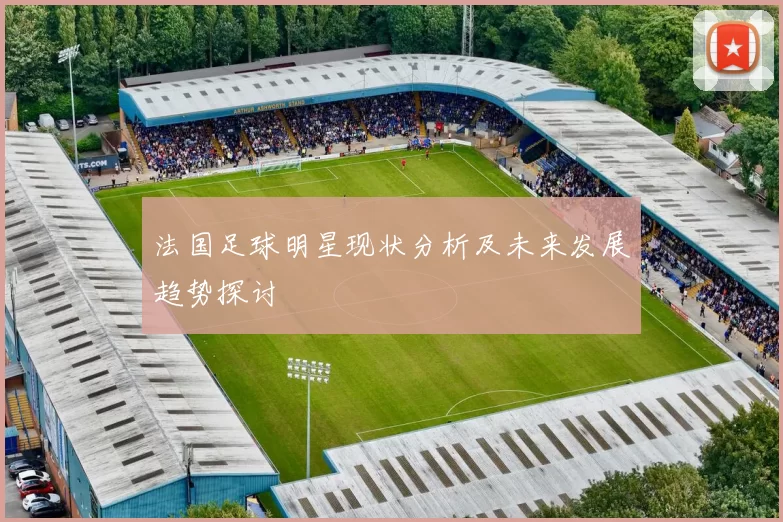 法国足球明星现状分析及未来发展趋势探讨