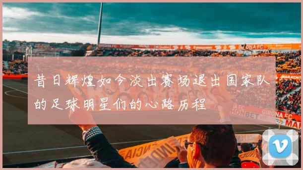 昔日辉煌如今淡出赛场退出国家队的足球明星们的心路历程