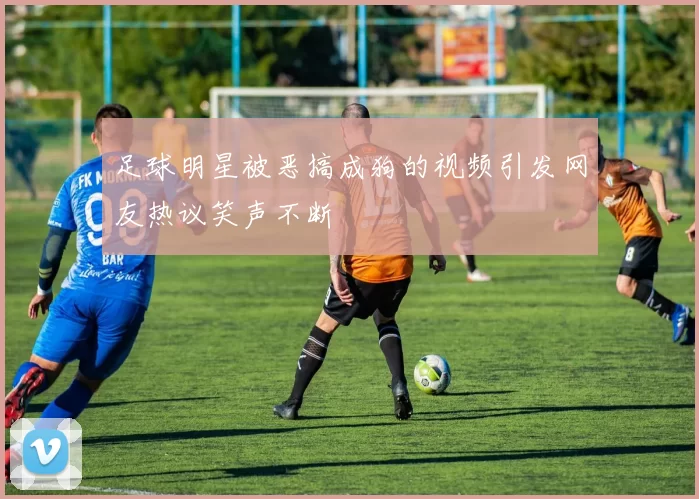 足球明星被恶搞成狗的视频引发网友热议笑声不断