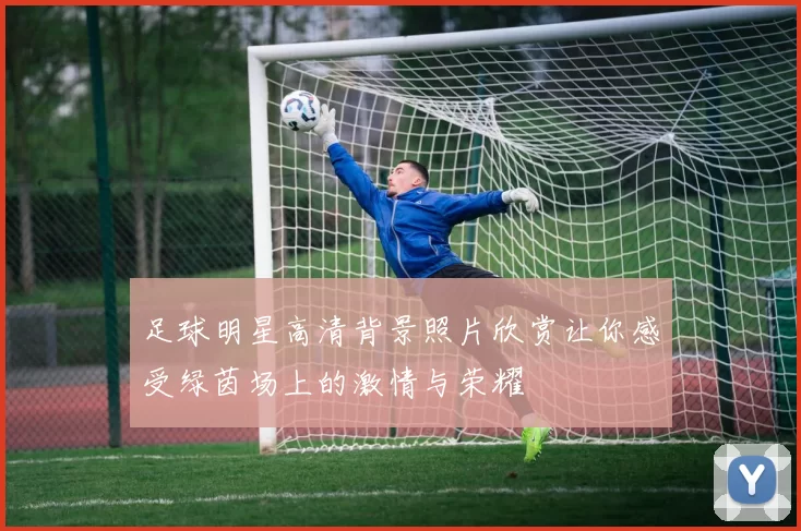 足球明星高清背景照片欣赏让你感受绿茵场上的激情与荣耀