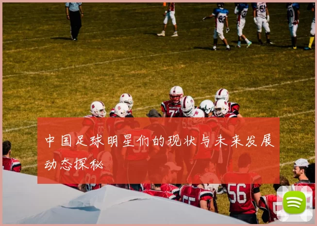 中国足球明星们的现状与未来发展动态探秘