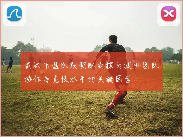 武汉飞盘队默契配合探讨提升团队协作与竞技水平的关键因素