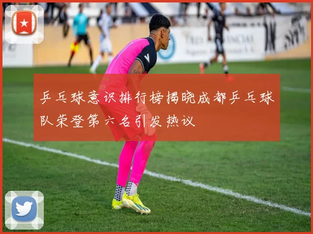 乒乓球意识排行榜揭晓成都乒乓球队荣登第六名引发热议