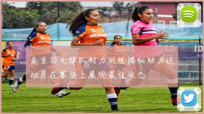 南京羽毛球队耐力训练揭秘助力运动员在赛场上展现最佳状态