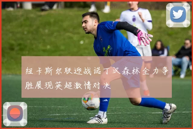 纽卡斯尔联迎战诺丁汉森林全力争胜展现英超激情对决