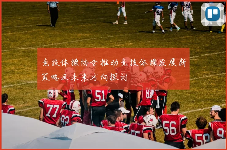 竞技体操协会推动竞技体操发展新策略及未来方向探讨