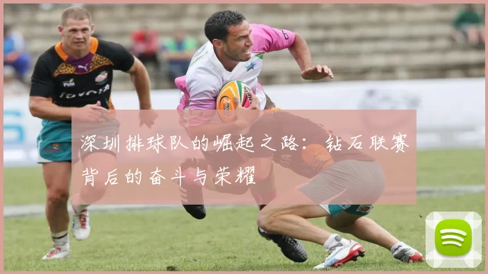 深圳排球队的崛起之路：钻石联赛背后的奋斗与荣耀